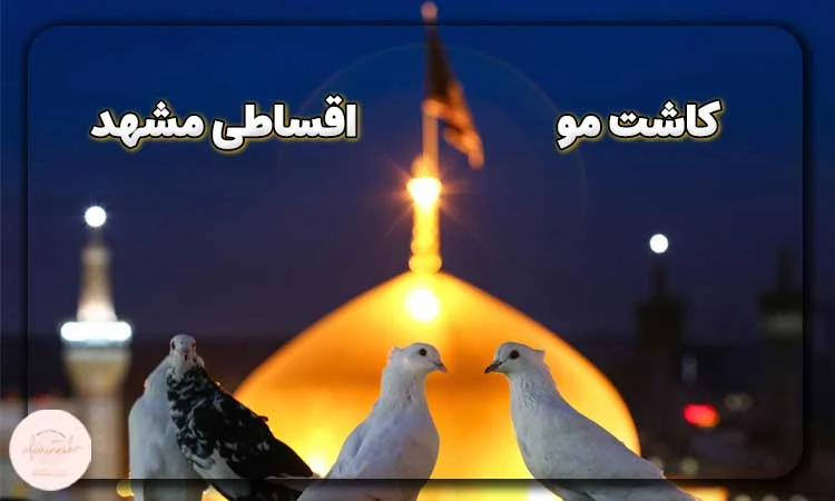 کاشت مو اقساطی در مشهد