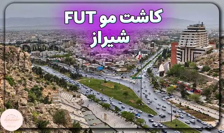 کاشت مو به روش fut در شیراز