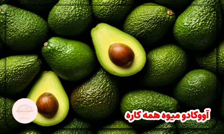 آووکادو میوه همه کاره